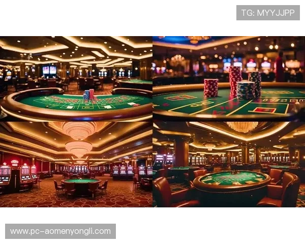 2024年澳门各大赌场排名变化趋势，哪些赌场持续领跑行业发展