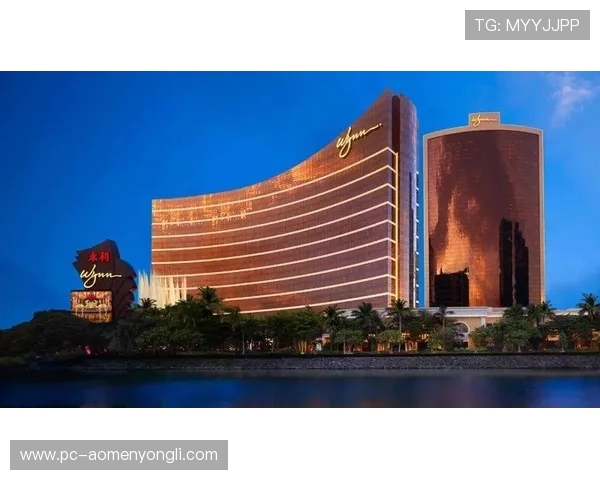 永利皇宫豪赌事件引发的金融风险与反洗钱措施的紧迫性