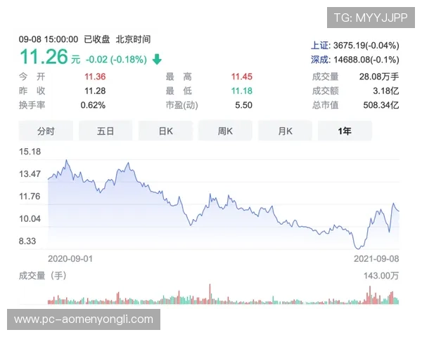 永利赌场是谁的所有权归属，深入探讨其背后复杂的股权关系