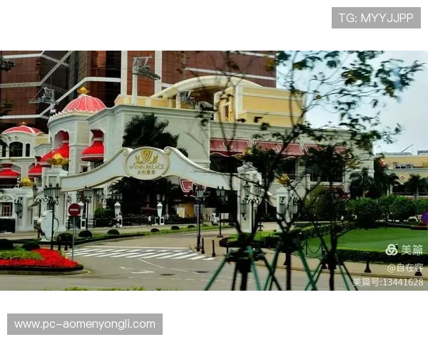 澳門永利皇宫登录：常见问题及解决方案全面指南帮助玩家顺利登录